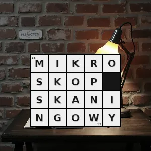 Hasło krzyżówkowe pomiarkować się - mikroskop skaningowy – rozwiązanie, synonimy, podpowiedzi i definicje krzyżówkowe